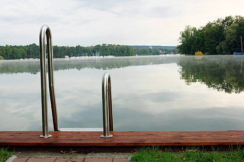 alte_eichen_fruehling_05.jpg