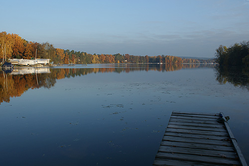 alte_eichen_herbst_02.jpg