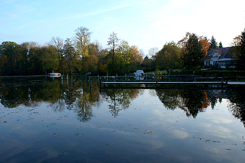 alte_eichen_herbst_03.jpg