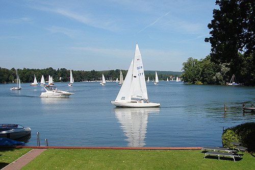 alte_eichen_sommer_02.jpg