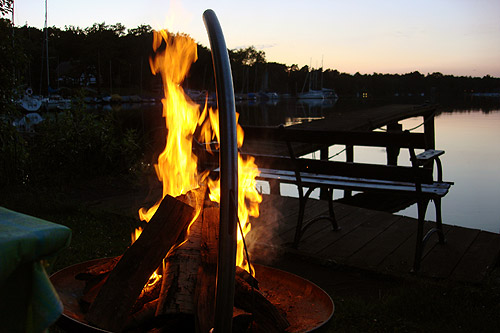 alte_eichen_sommer_11.jpg