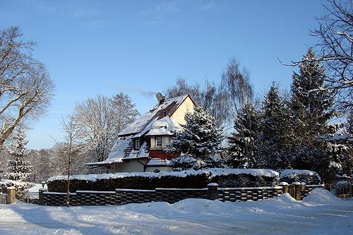 alte_eichen_winter_02.jpg