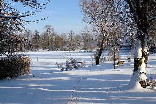 alte_eichen_winter_03.jpg