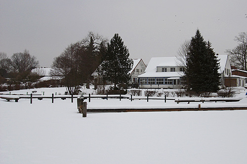 alte_eichen_winter_15.jpg