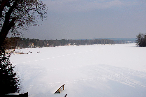 alte_eichen_winter_17.jpg