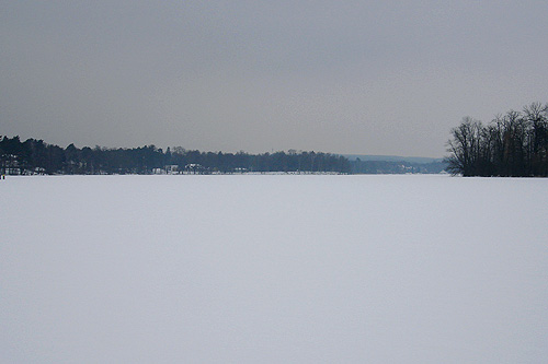 alte_eichen_winter_18.jpg